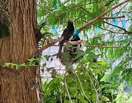 碧雲莊慈濟一樓整層有社宅補助 - Image 23