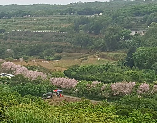物件圖片