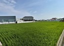 大甲區-土地，411.7坪