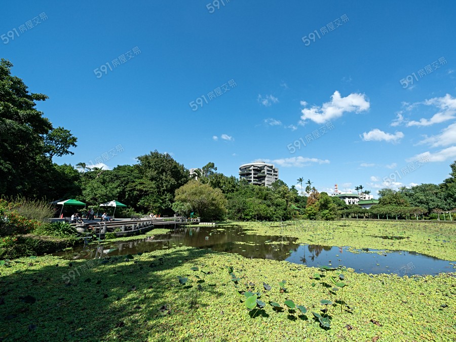 新光人壽總統傑仕堡環境圖