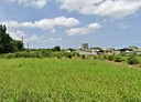 中壢區-土地，441坪