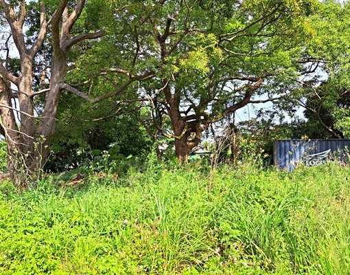物件圖片