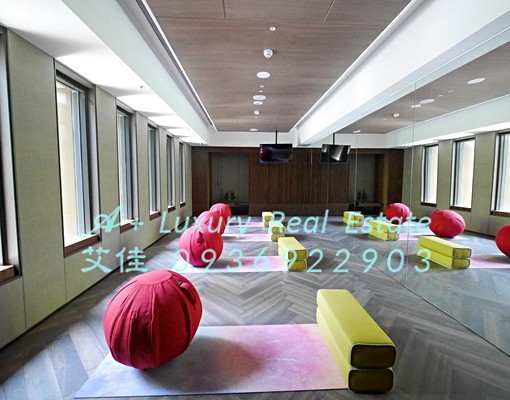 宏盛x長虹帝璽LUX新廈豪華公設近捷運 - Image 5