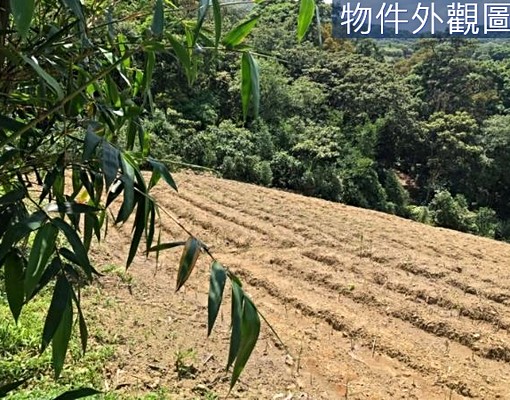 物件圖片