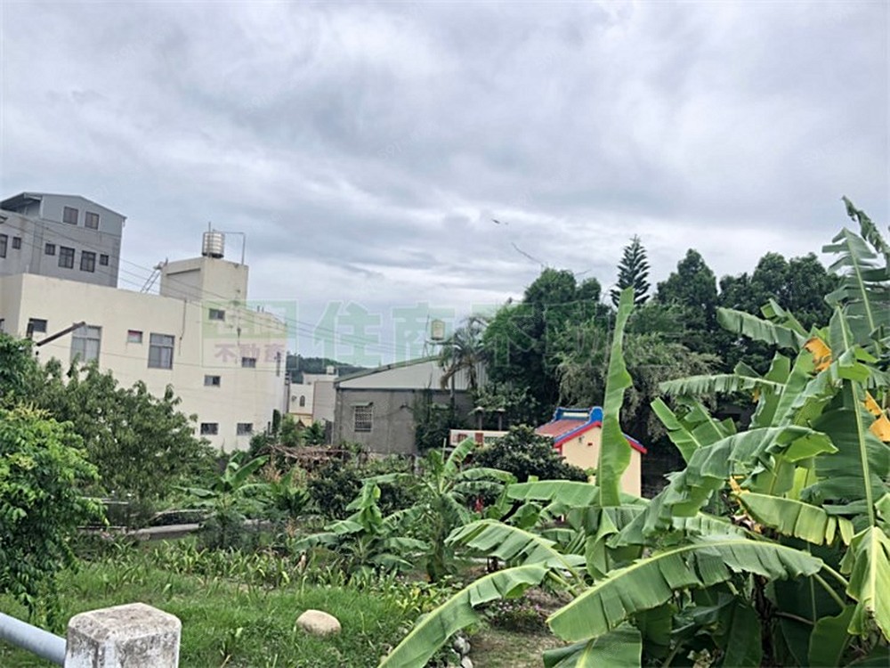 照片