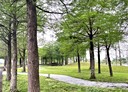 三星鄉-土地，387坪