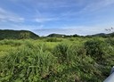 壽豐鄉-土地，8949坪