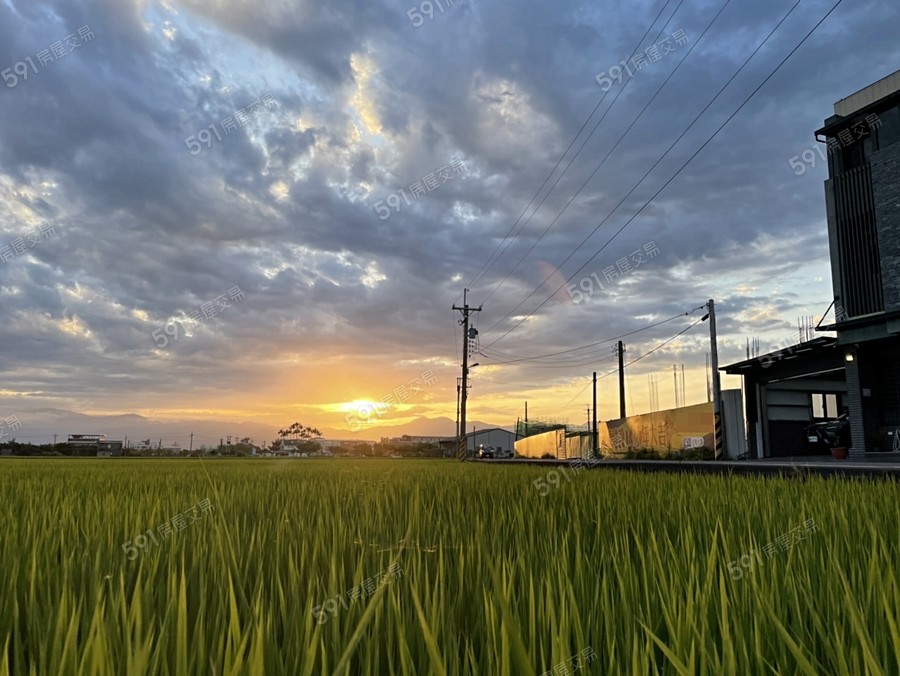 征泰大吉NO.6實景圖