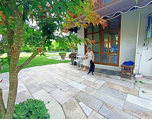 (短租另議)千坪庭園落羽松小木屋 - Image 4