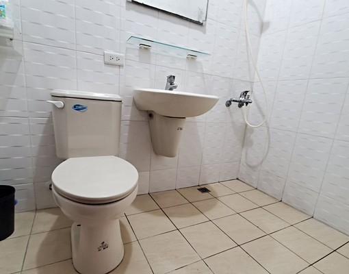 近南科有汽車位全平房沙發套房/有垃圾處理 - Image 12