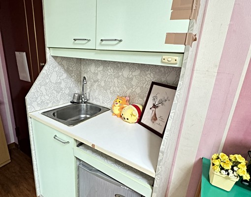 採光好近中興大學.五權車站 - Image 5