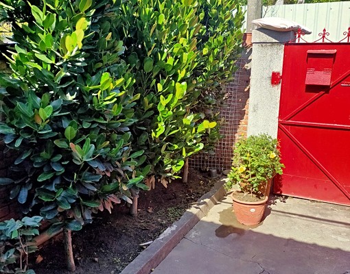 環境優美可作为工作室,单身上班貴族優住所 - 591租屋網 - Image 6