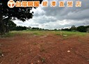龍潭區-新烏樹林段土地，903.3坪