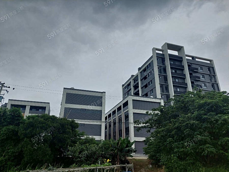 鼎巨La Vie NO.5(透天)實景圖