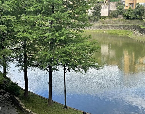 青山鎮電梯別墅綠地型88坪+雙車位出租 - Image 13