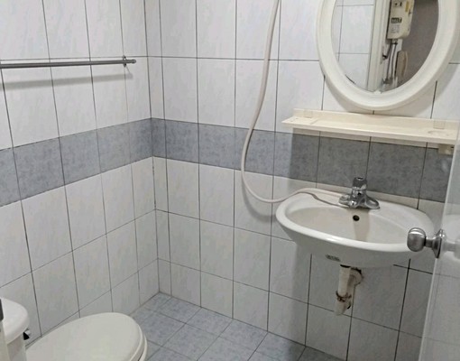 明亮大窗,綠廊道住宅,文昌旺紅鸞盛, - Image 11