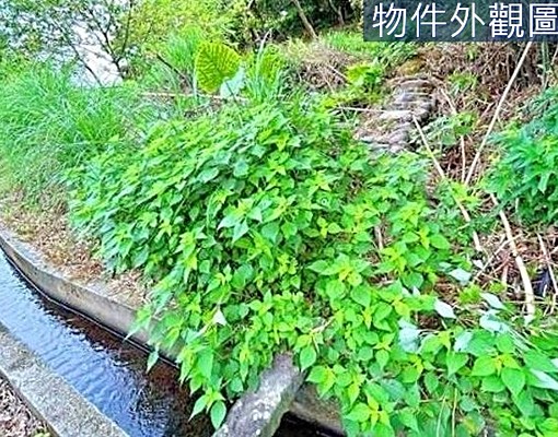 物件圖片