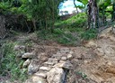 新埔鎮-楊新路一段土地，766坪