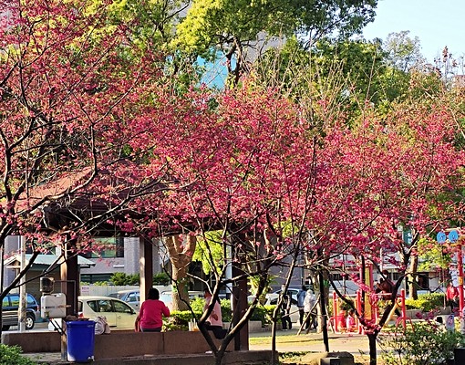 中原電梯5百M飆網廚房獨洗晾免治磁波租補 - Image 11