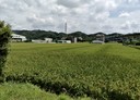 新埔鎮-義民段土地，904坪