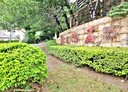 新埔鎮-大享路開放式格局，93.5坪