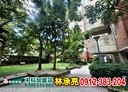 龍井區-遠東街3房2廳，44坪