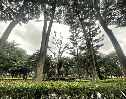 幸福捷運~思賢公園一樓門口方便停車 - Image 12