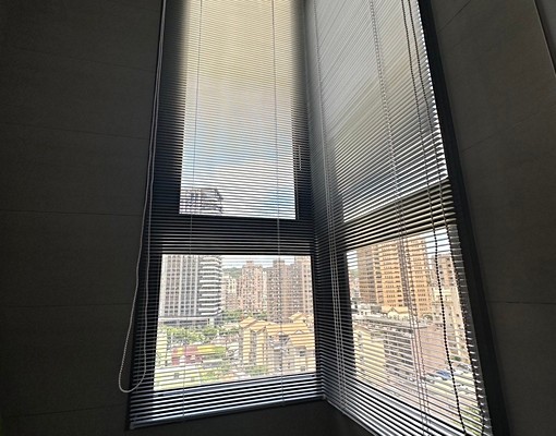 藝文特區全新小豪宅 - Image 8
