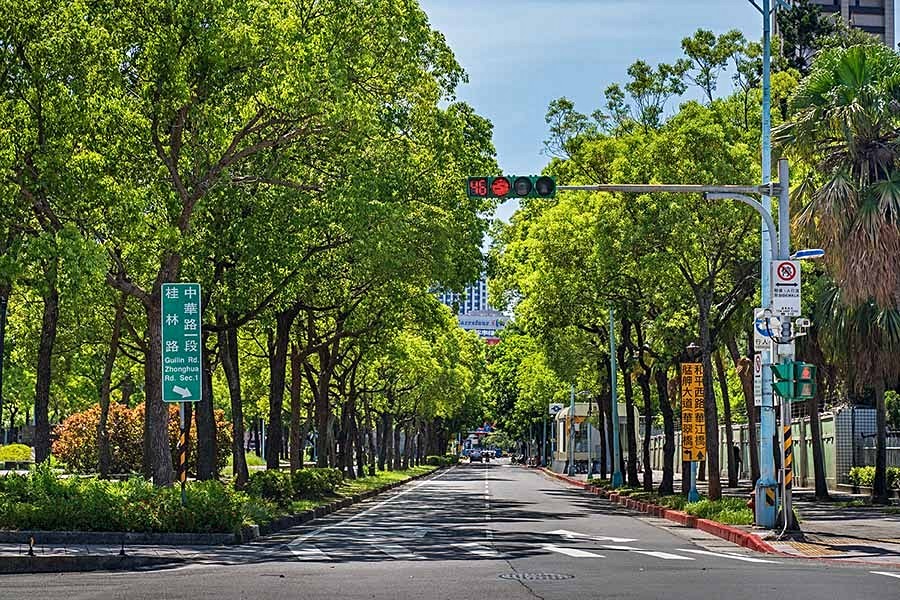65米愛國西路園道綠樹成蔭