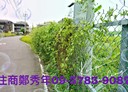 公館鄉-土地，353.9坪