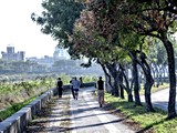 環境圖(17)