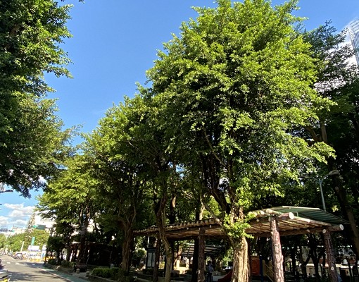 ★市政府捷運★面公園精美時尚宅 - Image 11