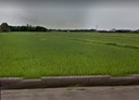 新屋區-土地，900坪