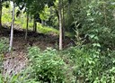 三灣鄉-土地，2420坪