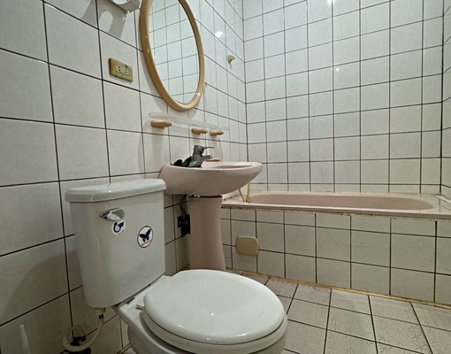 桃園愛買3房2廳★租金含管理費優惠仲介費 - Image 4