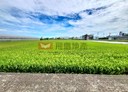 頭份市-蘆竹湳段土地，775坪
