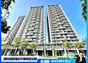 橋頭區-橋新一路店面，62.9坪