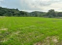 通霄鎮-圳頭土地,2722.5坪