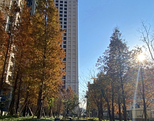 竹科旁優質三房合租亦可含車位 - 591租屋網 - Image 1