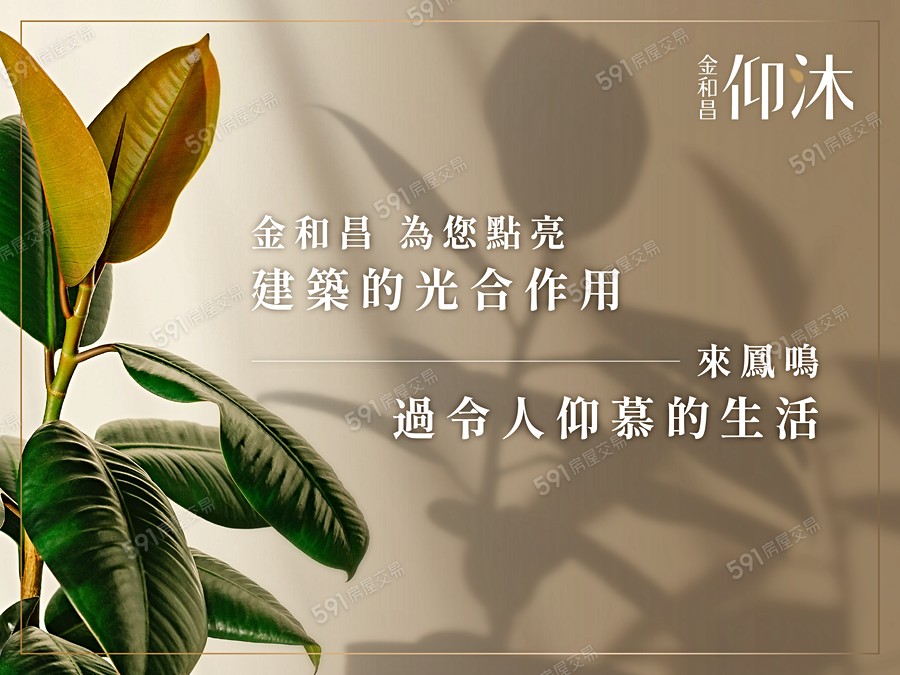 金和昌仰沐宣傳圖