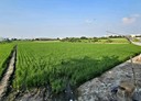 福興鄉-土地，519.4坪