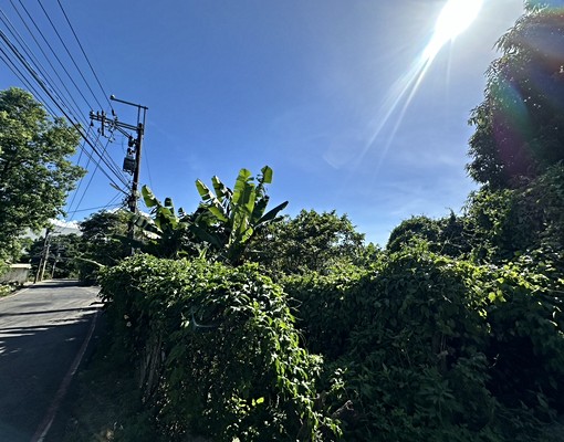 永慶三峽大義店莊文洲~麥子園持分農地