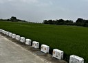 官田區-土地，563.2坪