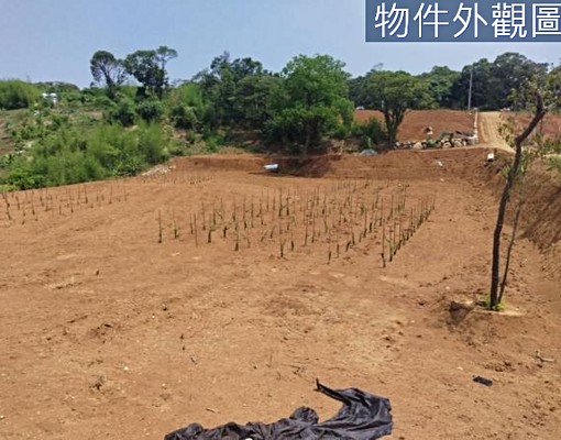 淡水興仁段美地