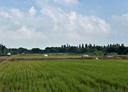 中壢區-山嶺段土地，3474.1坪