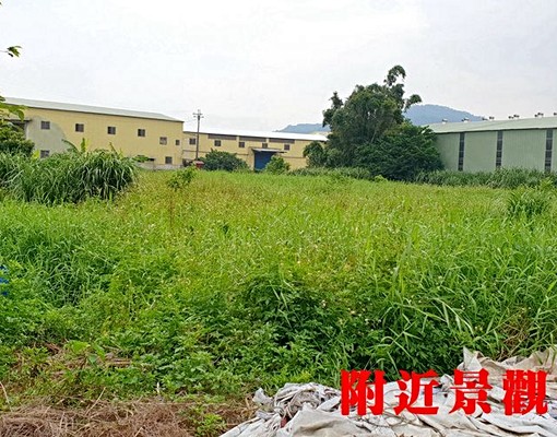 大柑園方正平坦有路農地中信鄭亦晴