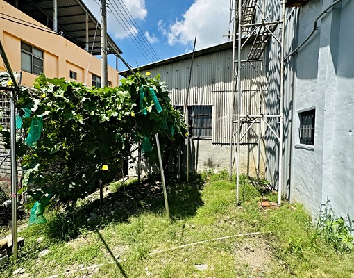 大里樹王大地坪透天多車位 - Image 10