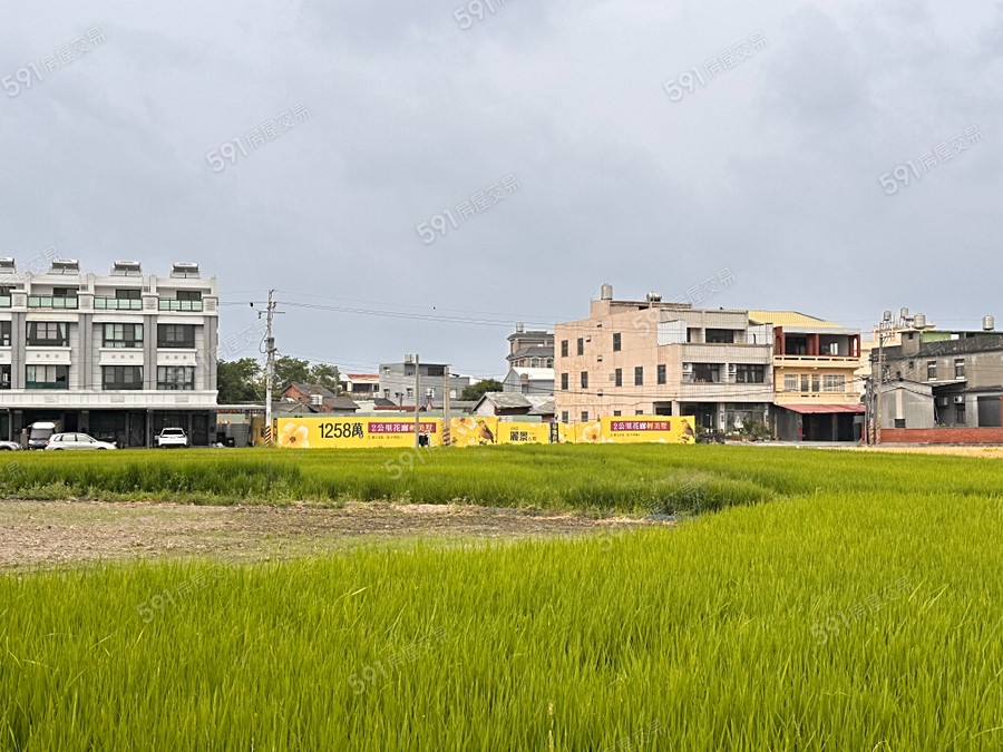 尚億麗景6期實景圖