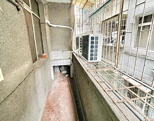 🌈頂溪站🐶可寵優質採光套房先搶先贏 - Image 15