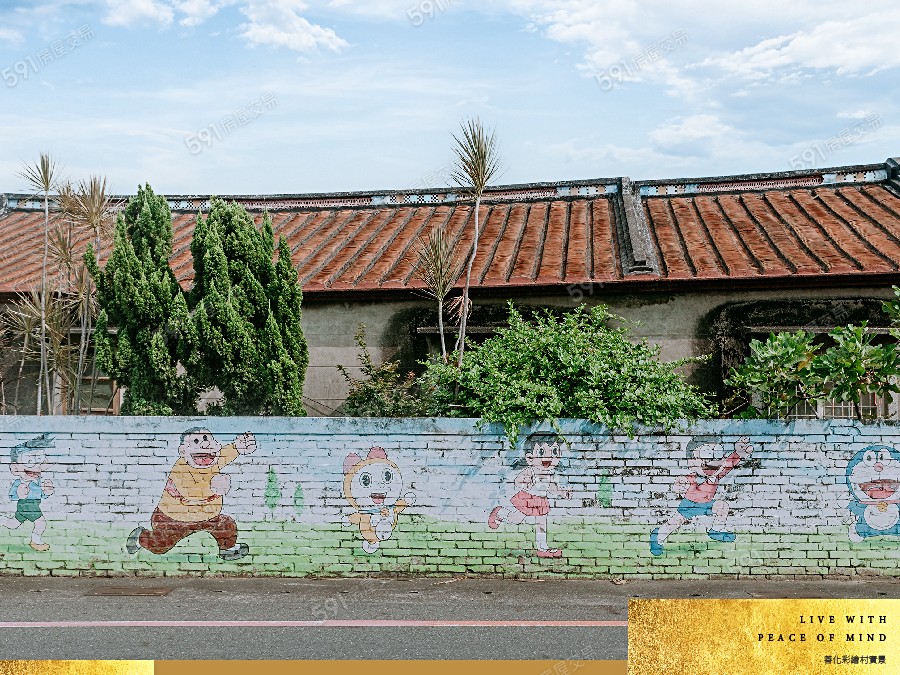 善化金星環境圖